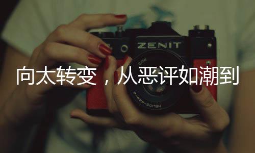 向太轉變，從惡評如潮到繁花似錦的社交網(wǎng)絡大潮