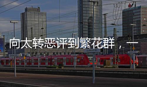 向太轉(zhuǎn)惡評到繁花群，一場互聯(lián)網(wǎng)時代的口碑逆襲之戰(zhàn)