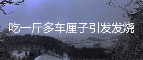 吃一斤多車?yán)遄右l(fā)發(fā)燒事件，原因、應(yīng)對(duì)與提醒