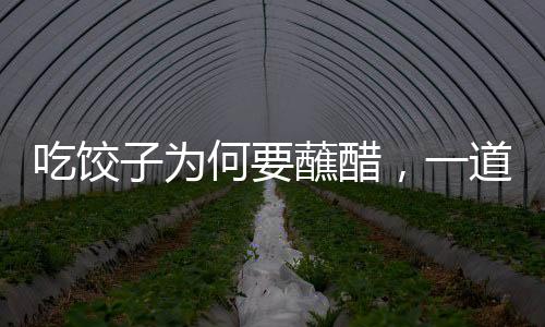 吃餃子為何要蘸醋，一道中華美食文化的深度解讀