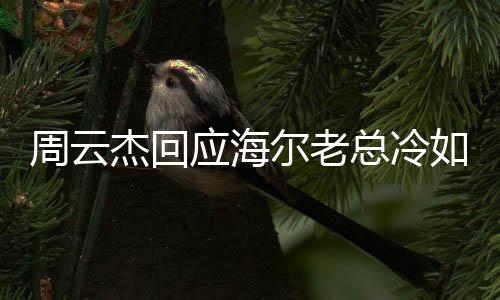 周云杰回應(yīng)海爾老總冷如冰箱，一場關(guān)于企業(yè)領(lǐng)導(dǎo)風(fēng)格的深度對話