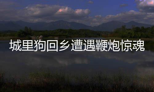 城里狗回鄉(xiāng)遭遇鞭炮驚魂，駕車逃離成新話題