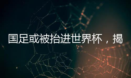 國(guó)足或被抬進(jìn)世界杯，揭秘中國(guó)足球的新希望與挑戰(zhàn)
