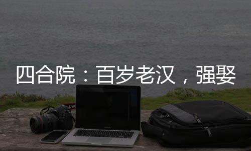 四合院：百歲老漢，強(qiáng)娶秦淮茹
