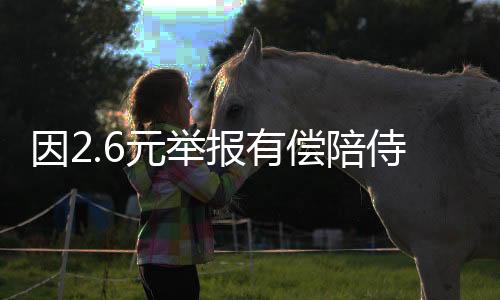 因2.6元舉報(bào)有償陪侍代駕小哥發(fā)聲，背后的故事與法律探討