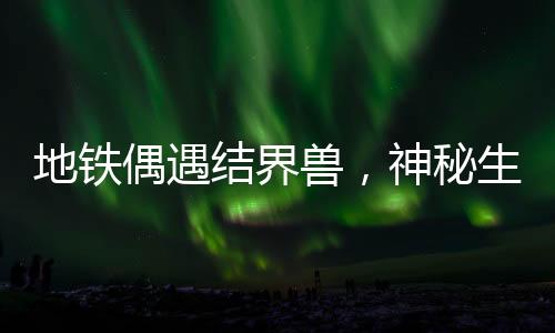 地鐵偶遇結(jié)界獸，神秘生物引發(fā)乘客熱議