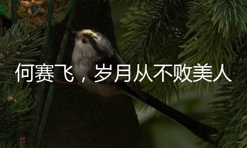 何賽飛，歲月從不敗美人