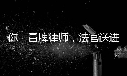 你一冒牌律師，法官送進去合理嗎