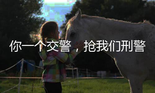 你一個交警，搶我們刑警的活？