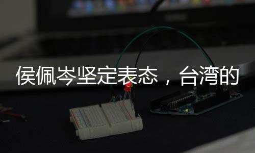 侯佩岑堅(jiān)定表態(tài)，臺(tái)灣的唯一稱謂是中國臺(tái)灣省