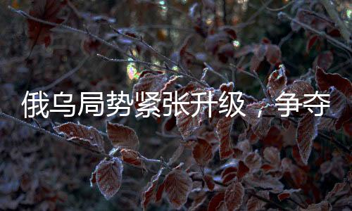 俄烏局勢(shì)緊張升級(jí)，爭(zhēng)奪最后戰(zhàn)果之際，北約顯現(xiàn)擔(dān)憂信號(hào)