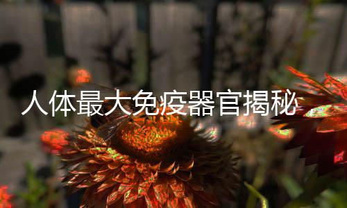 人體最大免疫器官揭秘，難以置信的真相