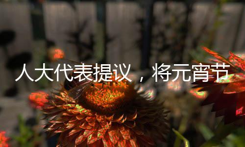 人大代表提議，將元宵節(jié)設為法定節(jié)假日