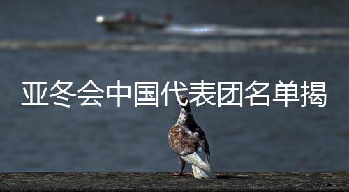 亞冬會(huì)中國(guó)代表團(tuán)名單揭曉，谷愛凌領(lǐng)銜出戰(zhàn)