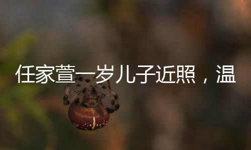 任家萱一歲兒子近照，溫馨家庭時光見證成長足跡