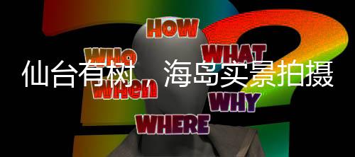 仙臺(tái)有樹，海島實(shí)景拍攝，展現(xiàn)自然之美
