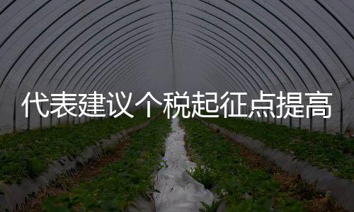 代表建議個(gè)稅起征點(diǎn)提高至10萬(wàn)元，全面審視與深度解讀