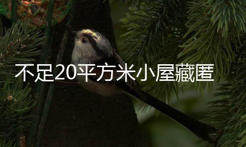不足20平方米小屋藏匿四十余名賭徒，警方的迅速行動(dòng)揭露一大型賭博活動(dòng)內(nèi)幕