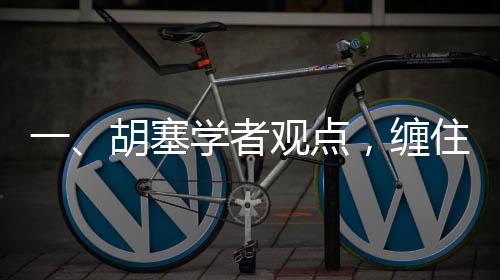 一、胡塞學(xué)者觀點，纏住美航母即勝利之象征