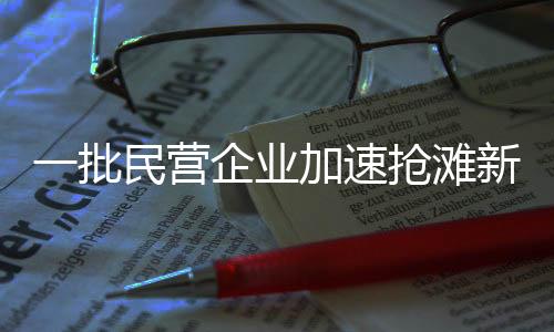 一批民營(yíng)企業(yè)加速搶灘新賽道領(lǐng)跑競(jìng)爭(zhēng)潮流