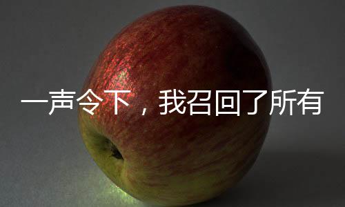 一聲令下，我召回了所有穿越者