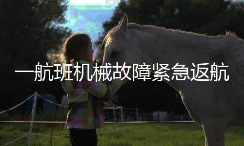 一航班機械故障緊急返航，乘客安全無憂