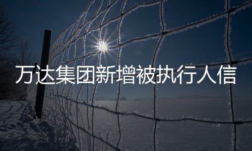 萬達(dá)集團(tuán)新增被執(zhí)行人信息，深入解讀與影響分析