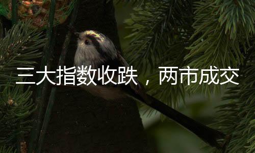 三大指數(shù)收跌，兩市成交額縮量逾三千億，市場(chǎng)走勢(shì)分析與前景展望