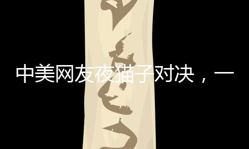 中美網(wǎng)友夜貓子對(duì)決，一夜的經(jīng)濟(jì)辯論分析