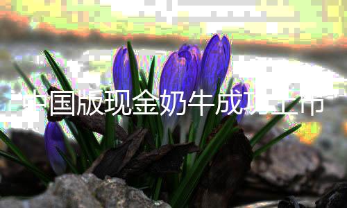 中國版現(xiàn)金奶牛成功上市，引領(lǐng)行業(yè)新篇章