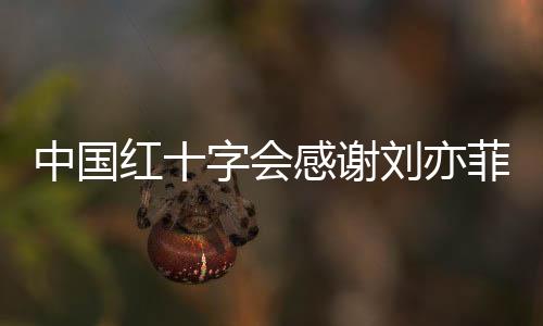 中國紅十字會感謝劉亦菲捐贈取暖火爐，冬日暖陽照亮千萬家庭