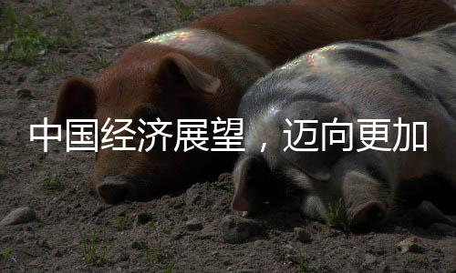 中國(guó)經(jīng)濟(jì)展望，邁向更加繁榮的2025年