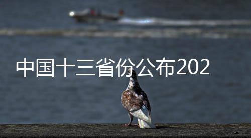 中國十三省份公布2024年人口數(shù)量預(yù)測，趨勢分析與挑戰(zhàn)應(yīng)對