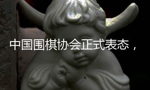 中國(guó)圍棋協(xié)會(huì)正式表態(tài)，不接受LG杯第3局結(jié)果