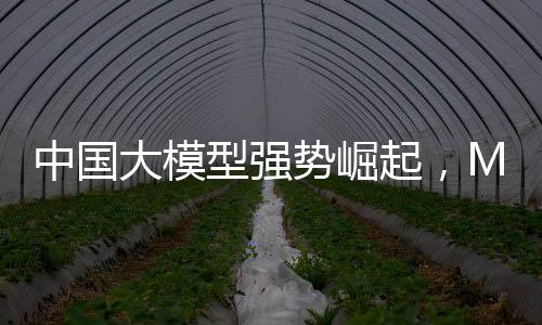 中國大模型強(qiáng)勢崛起，Meta陷入恐慌模式