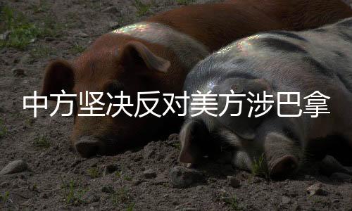 中方堅(jiān)決反對(duì)美方涉巴拿馬運(yùn)河言論