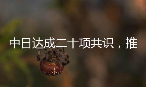 中日達(dá)成二十項共識，推動兩國關(guān)系邁向新篇章