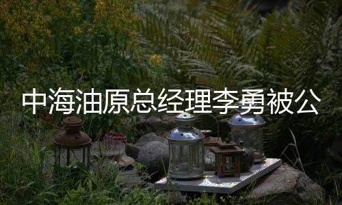 中海油原總經(jīng)理李勇被公訴，內(nèi)幕揭示與公眾關(guān)注焦點(diǎn)