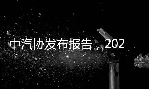 中汽協(xié)發(fā)布報(bào)告，2024年12月汽車出口量達(dá)50.4萬輛