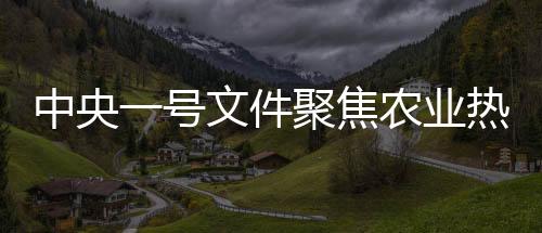 中央一號文件聚焦農業(yè)熱點，揭秘其中的高頻詞匯