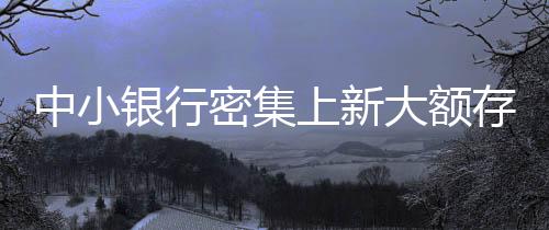 中小銀行密集上新大額存單，新的市場(chǎng)機(jī)遇與挑戰(zhàn)