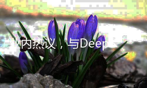 業(yè)內(nèi)熱議，與DeepSeek并肩之路，非自封可得