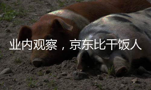 業(yè)內(nèi)觀察，京東比干飯人更需要外賣時(shí)代賦能于物流業(yè)新契機(jī)——深入探討京東發(fā)力外賣市場(chǎng)之動(dòng)因