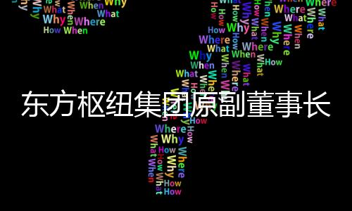 東方樞紐集團原副董事長徐孫慶接受審查調(diào)查