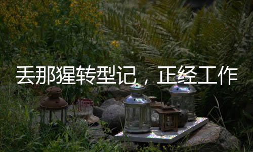 丟那猩轉(zhuǎn)型記，正經(jīng)工作與繡球拋投的新篇章