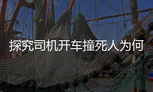 探究司機(jī)開(kāi)車撞死人為何無(wú)刑責(zé)？全面解讀背后的法律邏輯