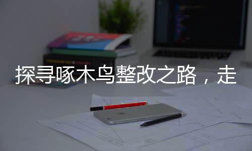探尋啄木鳥整改之路，走向未來(lái)