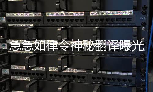 急急如律令神秘翻譯曝光，引發(fā)全網(wǎng)熱議，你猜對(duì)了嗎？