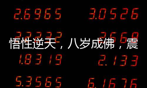 悟性逆天，八歲成佛，震驚方丈！