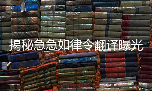 揭秘急急如律令翻譯曝光，專業(yè)領(lǐng)域的速度與準(zhǔn)確性如何平衡